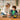 Sillbird STEM ecoEbot Toy B891 (5 - IN - 1) - Sillbird