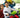 STEM & Fun: Worthwhile Birthday Gift Ideas for 10-Year-Old Boys - Sillbird